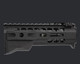 Forend (D010683) Forend (D010683)